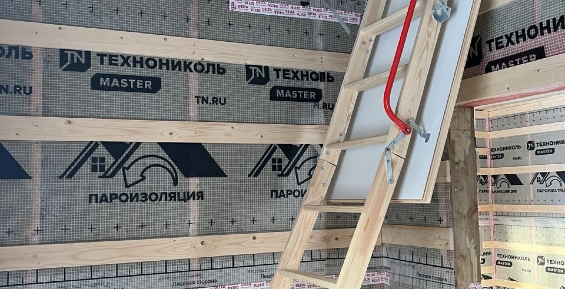 Абелия
